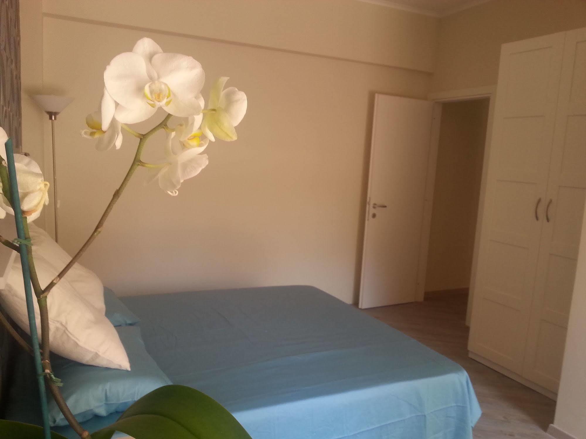 Bed & Breakfast Domus Pio Xi° 2*